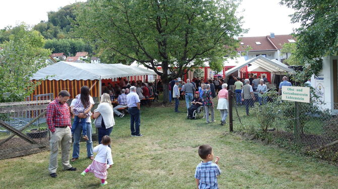 Zum Sommerhock im Mustergarten im Dorsach lud der Obst- und Gartenbauverein Lichtenstein am Sonntag ein. FOTO: BÖHM