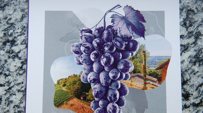 Trauben, Ausblicke, Informationen: Der Weinkulturtag bietet alles.  FOTOMONTAGE: MMT