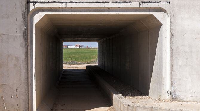 Ein Tunnel für Kröten und Fußgänger – dieses Jahr nicht realisierbar. FOTO: FOTOLIA
