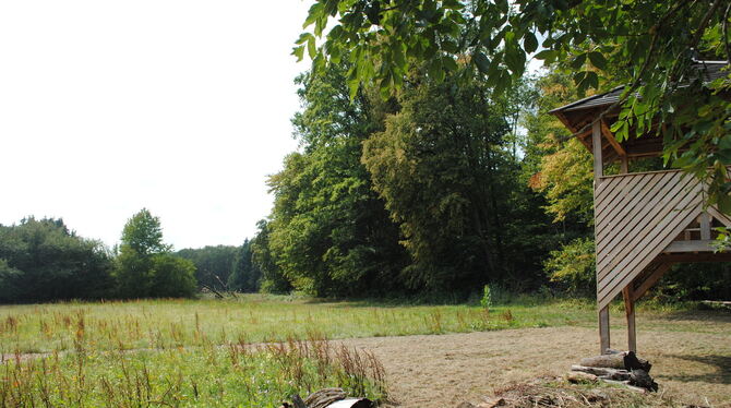 Vor dem Waldesrand (rechts) und einer Hecke (links) soll der Bauwagen für den Ofterdinger Waldkidnergarten stehen. Foto: Schwarz