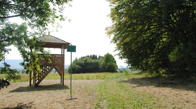 Der Standort des Bauwagens des neuen Waldkindergartens in Ofterdingen wird in der Nachbarschaft des Beobachtungspunkts (links) u