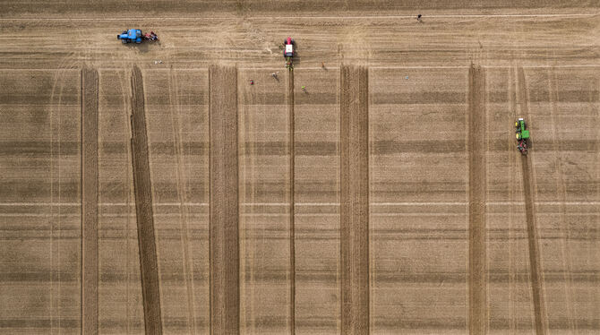 Training auf dem Stoppelfeld: Der Blick von oben aus der Drohnen-Perspektive zeigt interessante Muster.  FOTO: STEPHAN ZIRWES