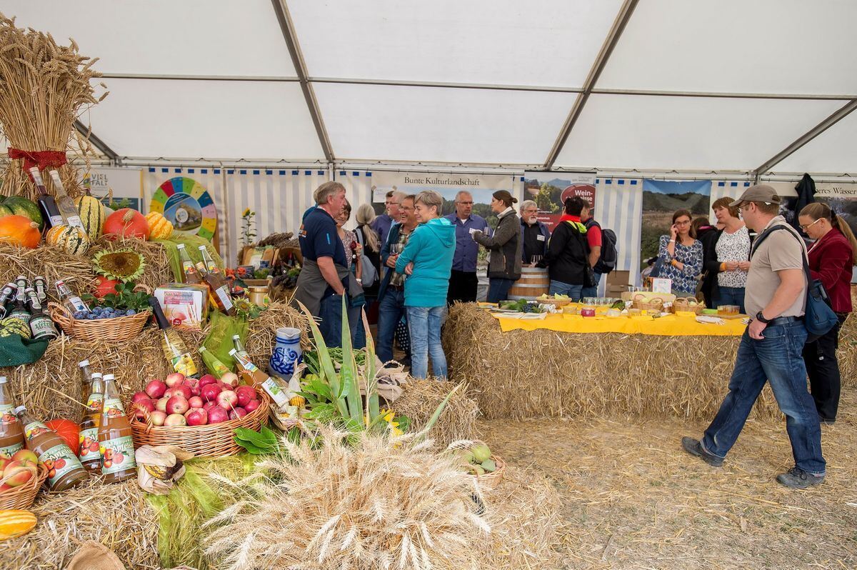 pflügerwm_Trinkhaus_01-09-2018_27