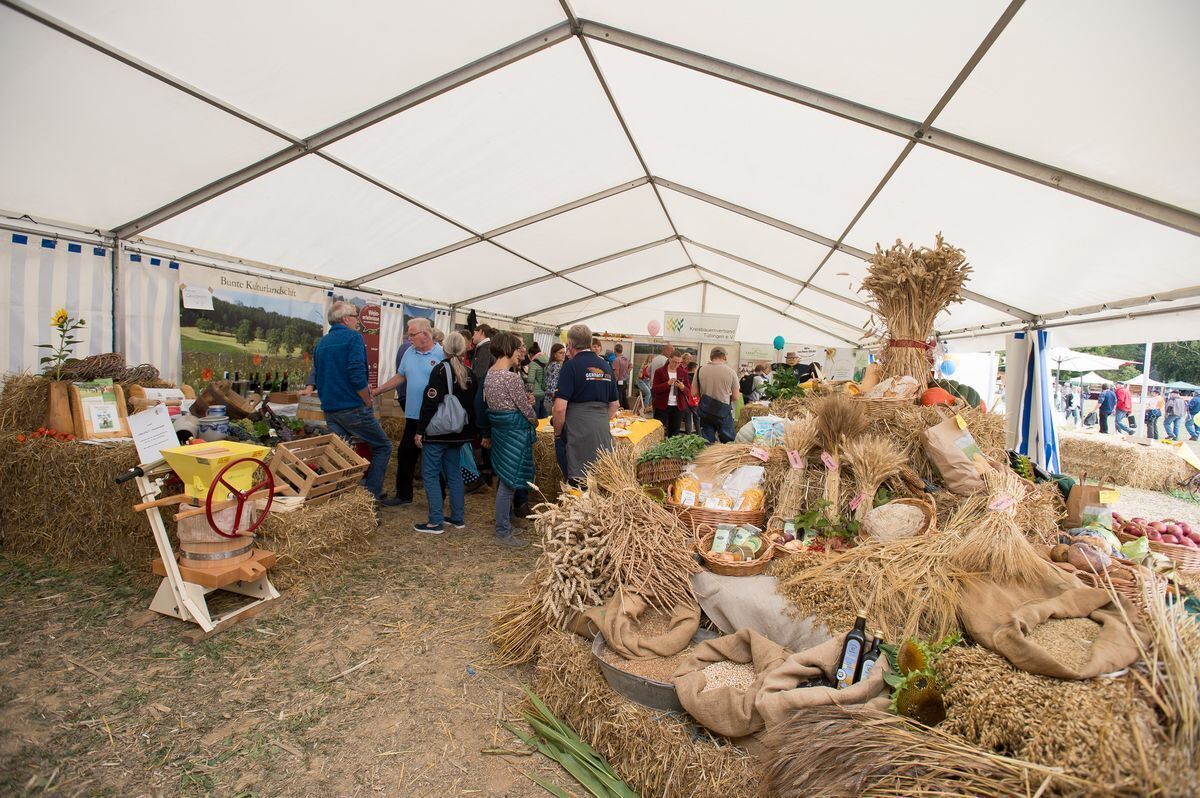 pflügerwm_Trinkhaus_01-09-2018_28