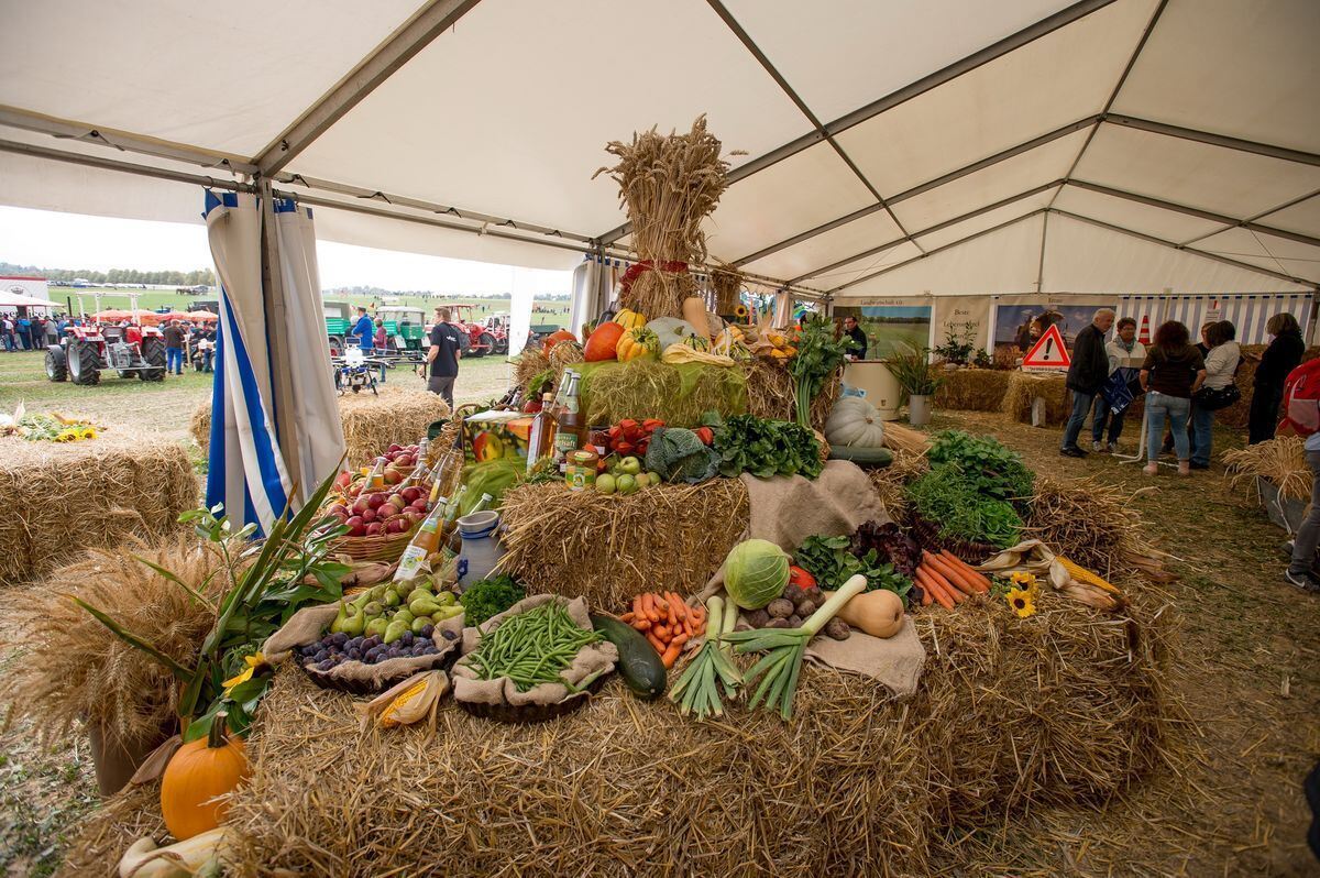 pflügerwm_Trinkhaus_01-09-2018_30