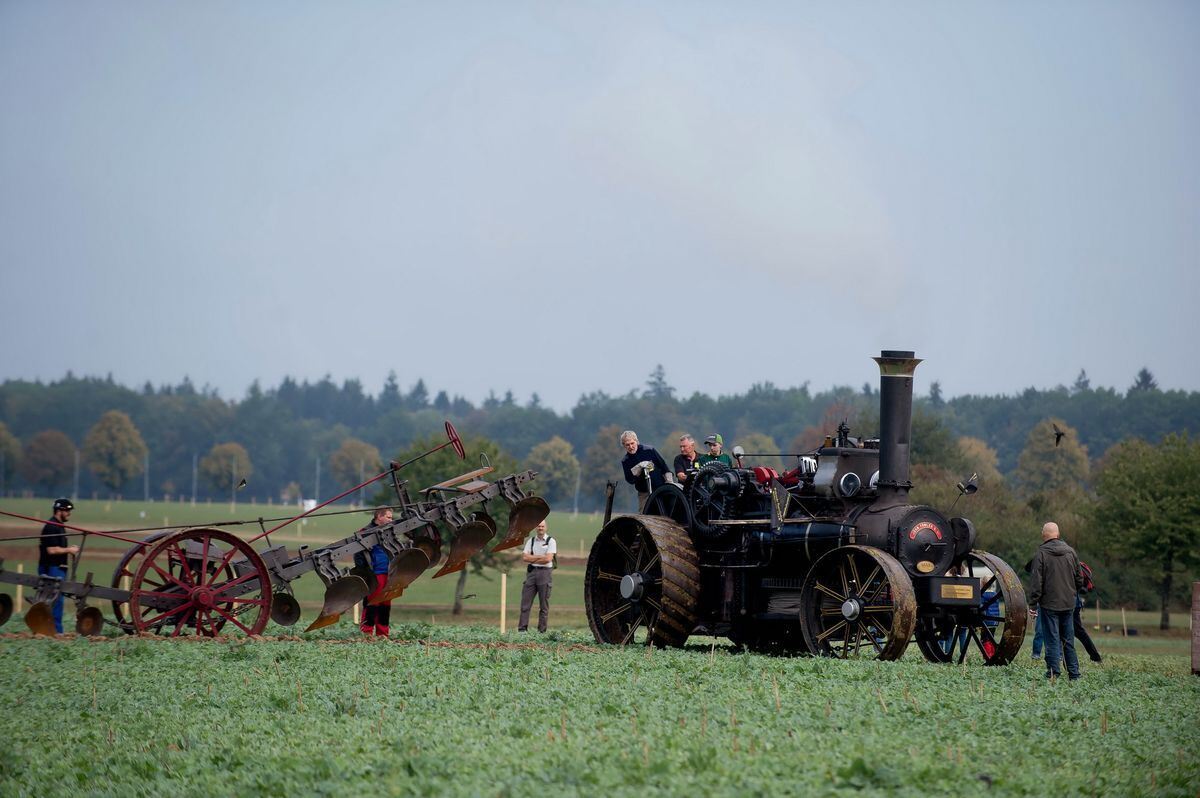 pflügerwm_Trinkhaus_01-09-2018_35