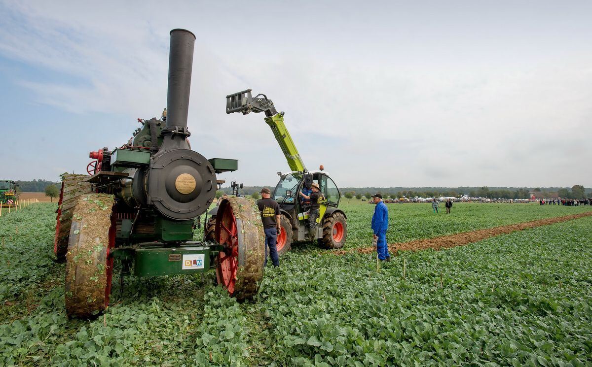 pflügerwm_Trinkhaus_01-09-2018_39