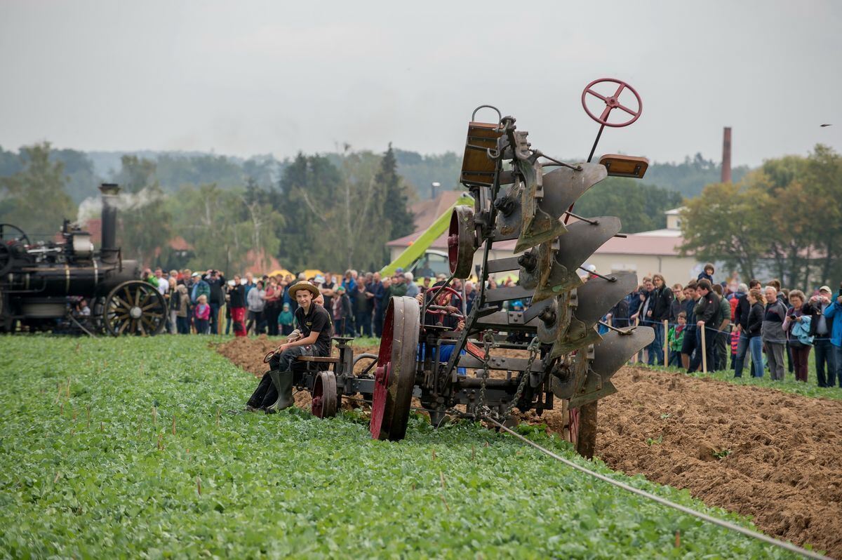 pflügerwm_Trinkhaus_01-09-2018_49