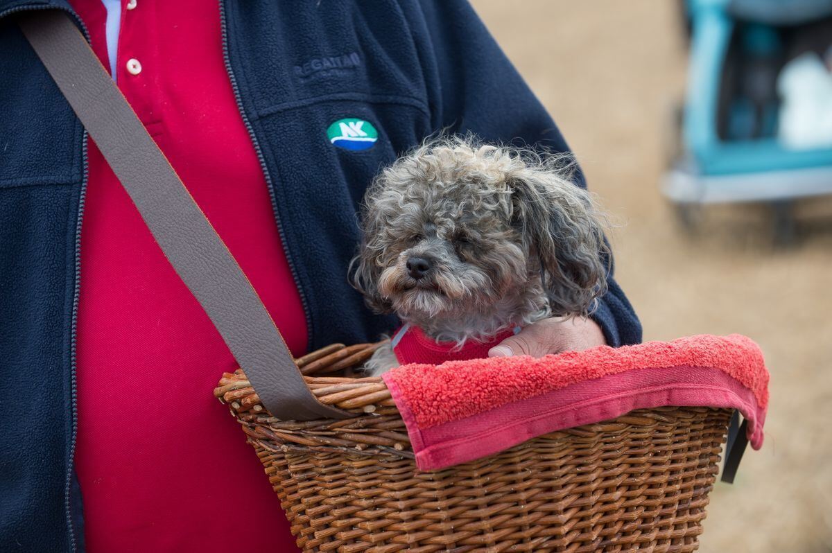 pflügerwm_Trinkhaus_01-09-2018_52
