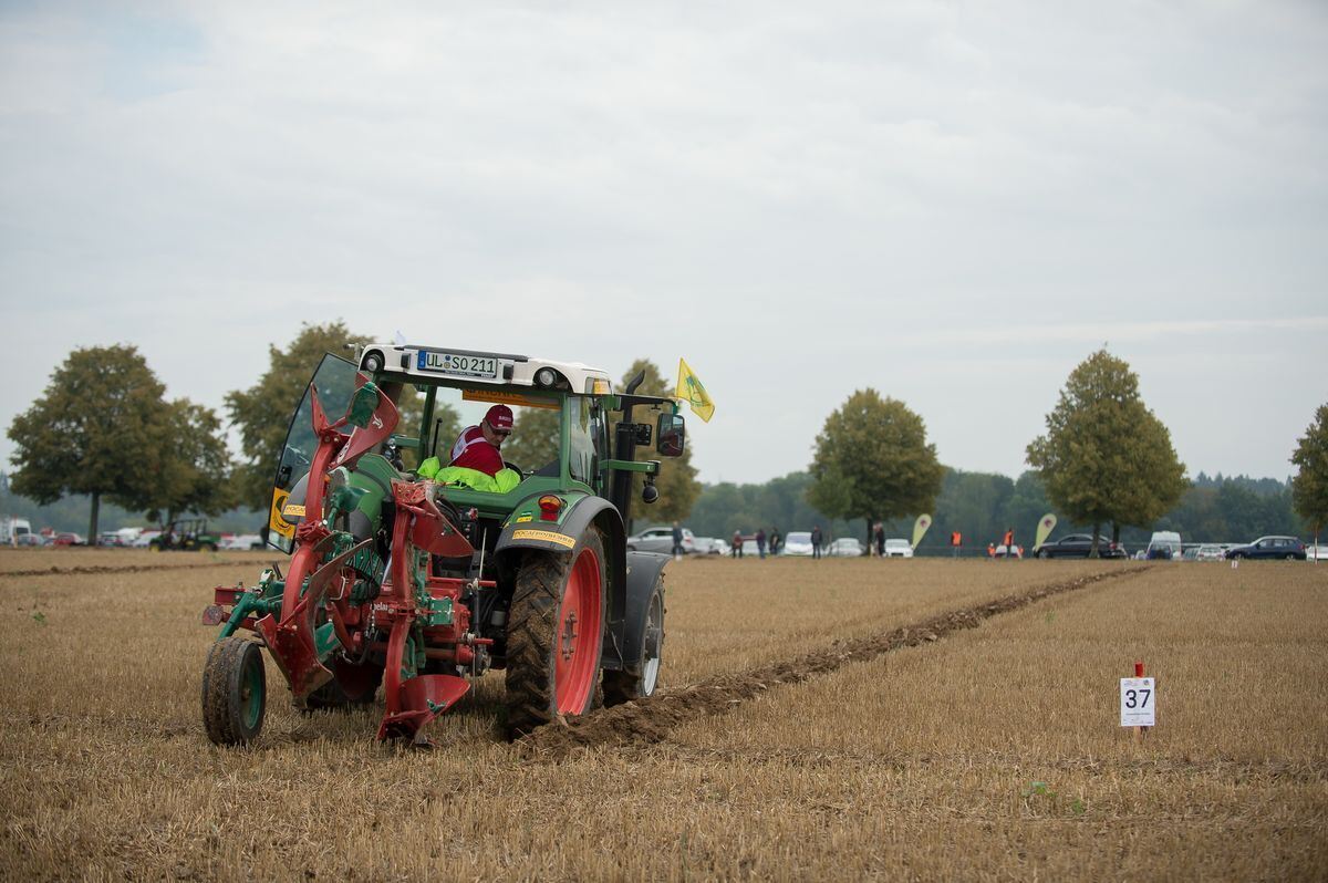 pflügerwm_Trinkhaus_01-09-2018_57