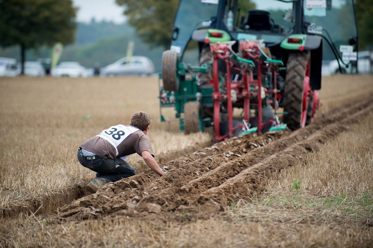 pflügerwm_Trinkhaus_01-09-2018_63