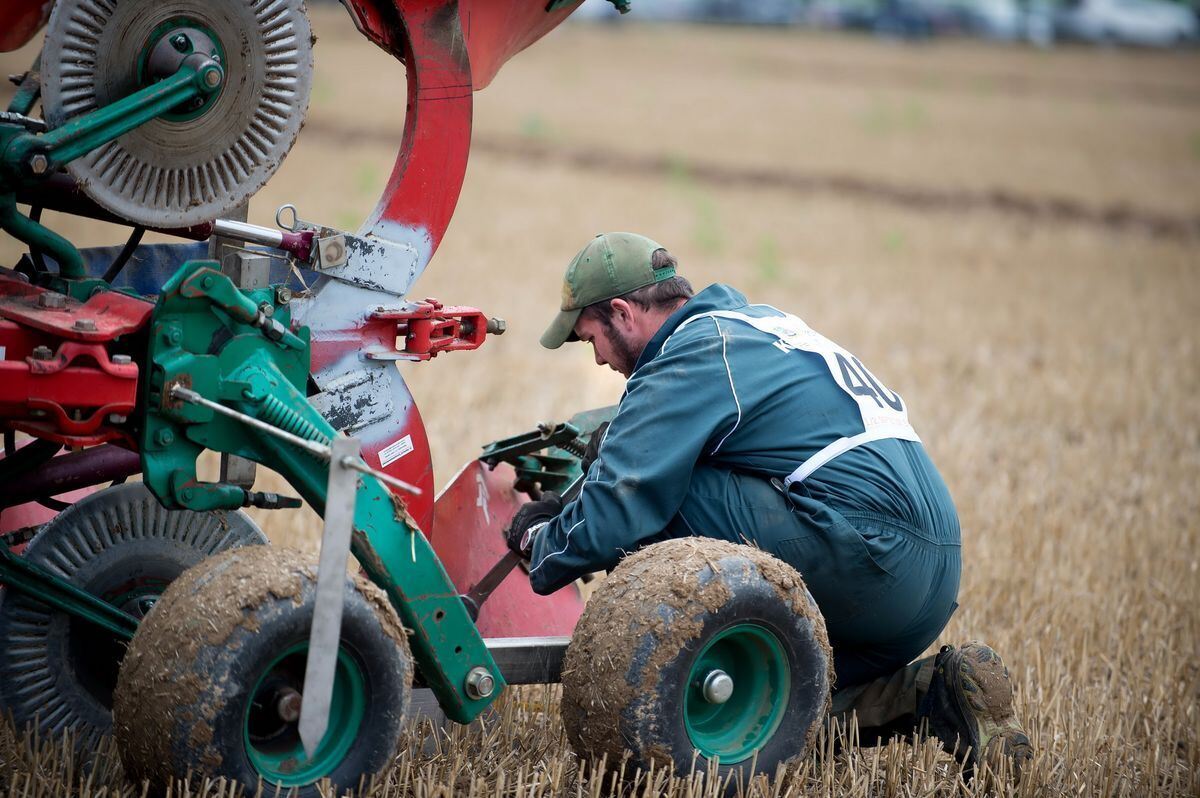 pflügerwm_Trinkhaus_01-09-2018_64