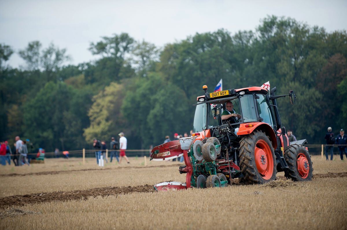 pflügerwm_Trinkhaus_01-09-2018_69