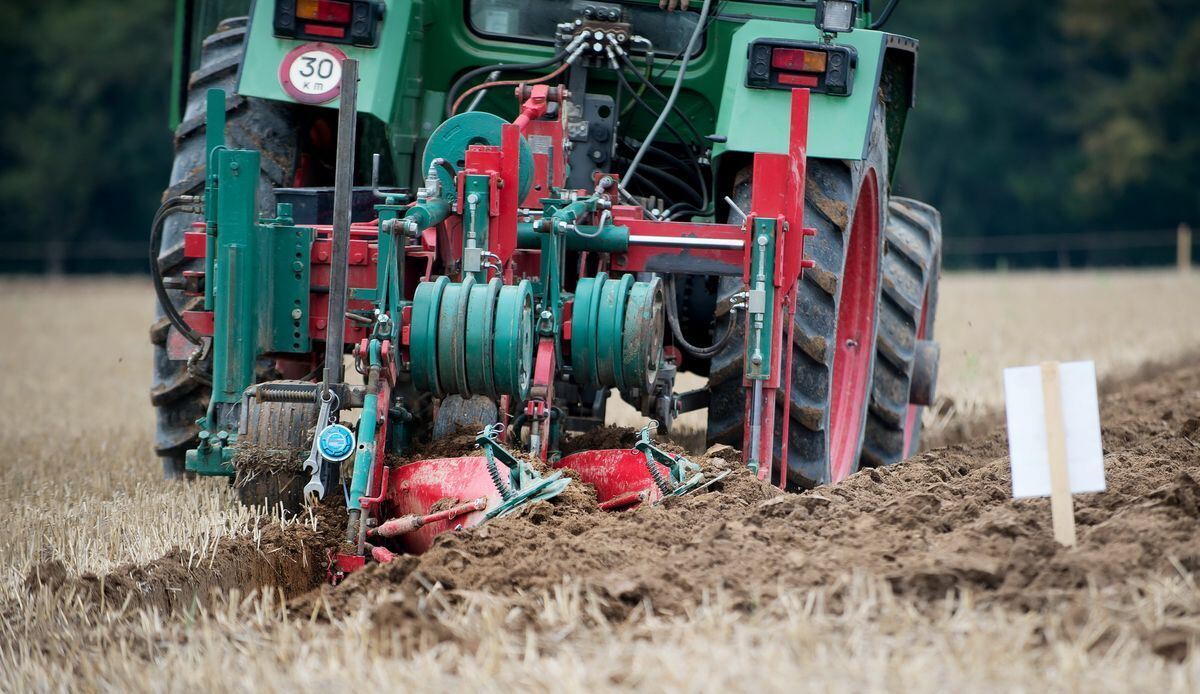 pflügerwm_Trinkhaus_01-09-2018_2