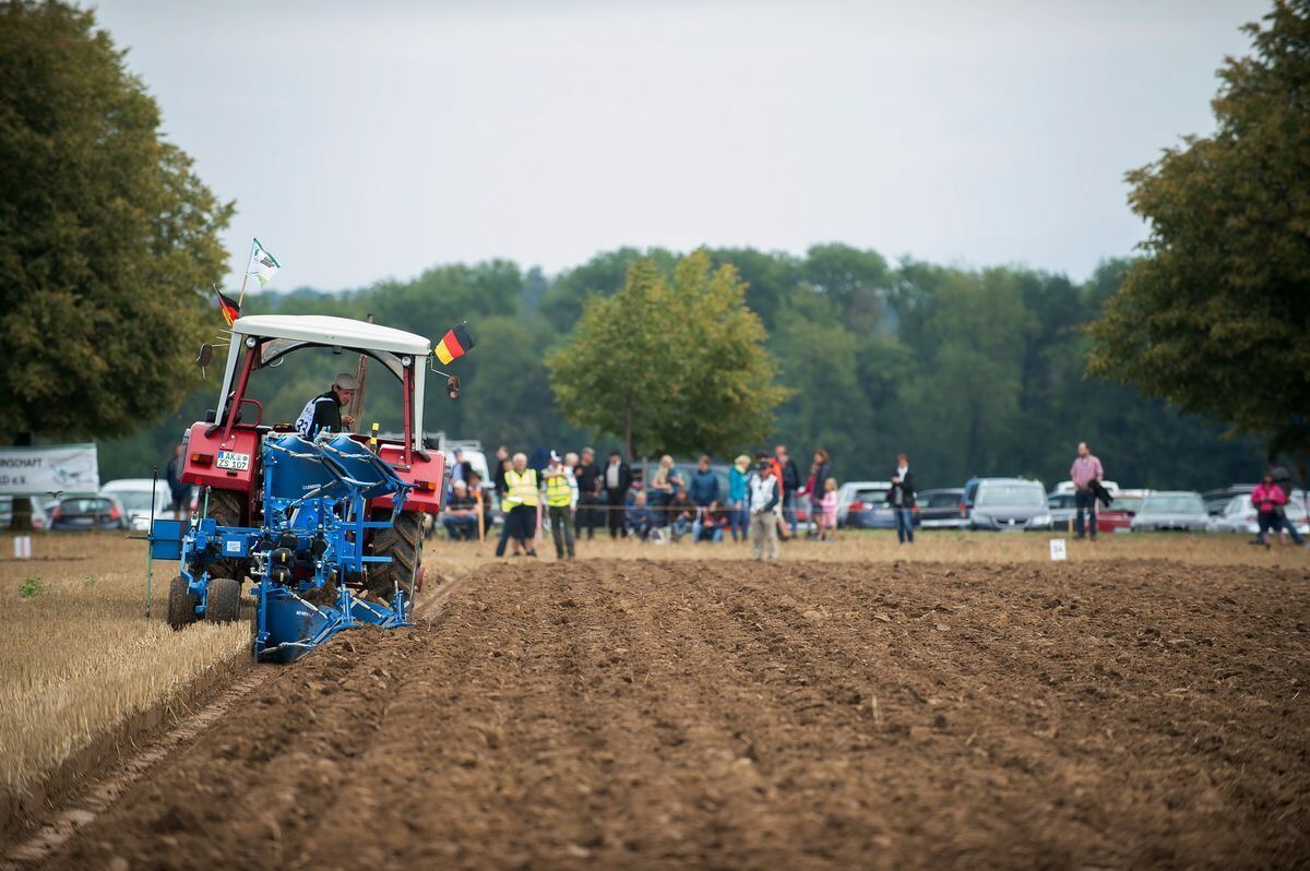 pflügerwm_Trinkhaus_01-09-2018_10
