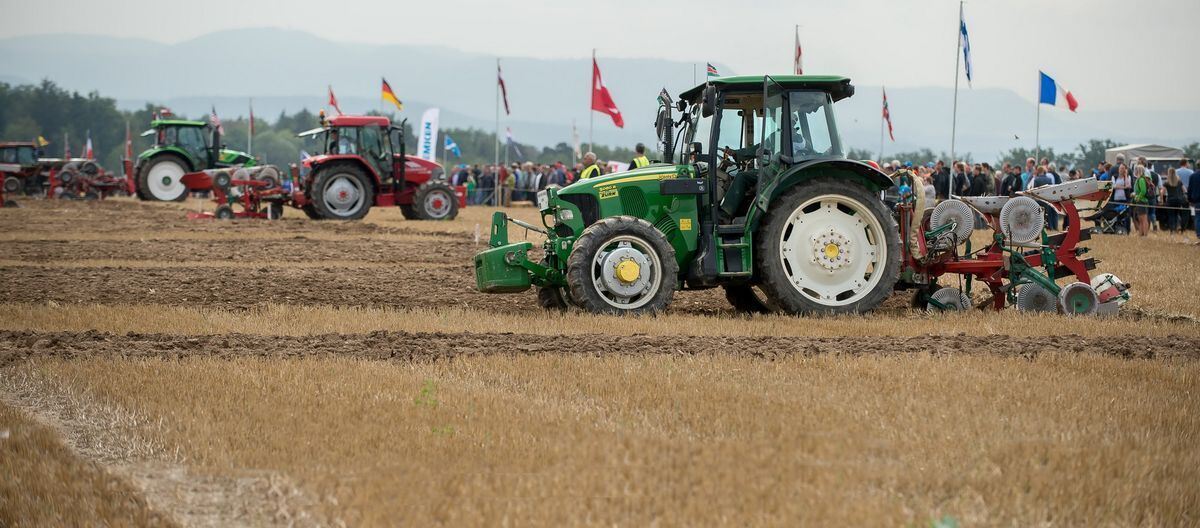 pflügerwm_Trinkhaus_01-09-2018_19
