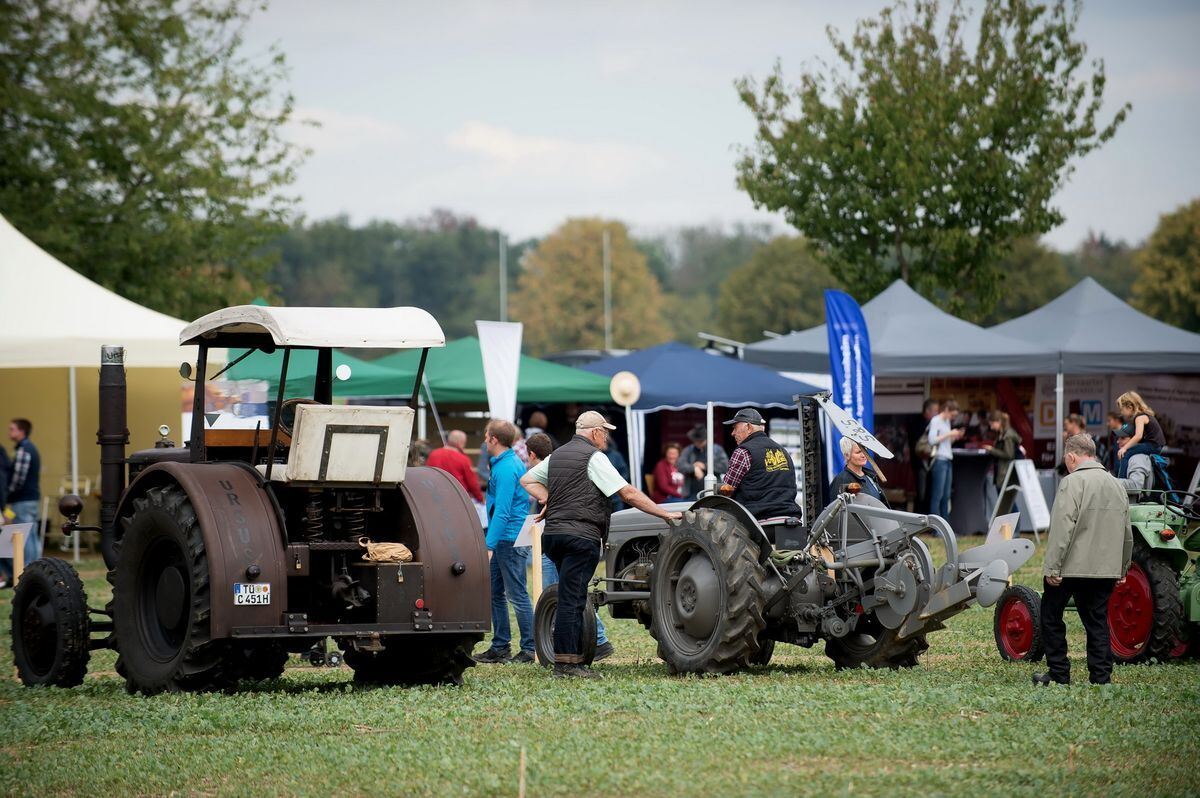 pflügerwm_Trinkhaus_01-09-2018_20