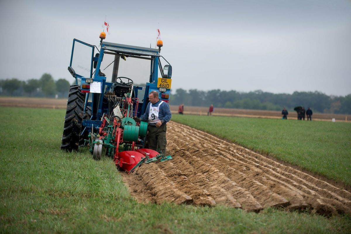 pflügerwm_sa_trinkhaus_02-09-2018_6