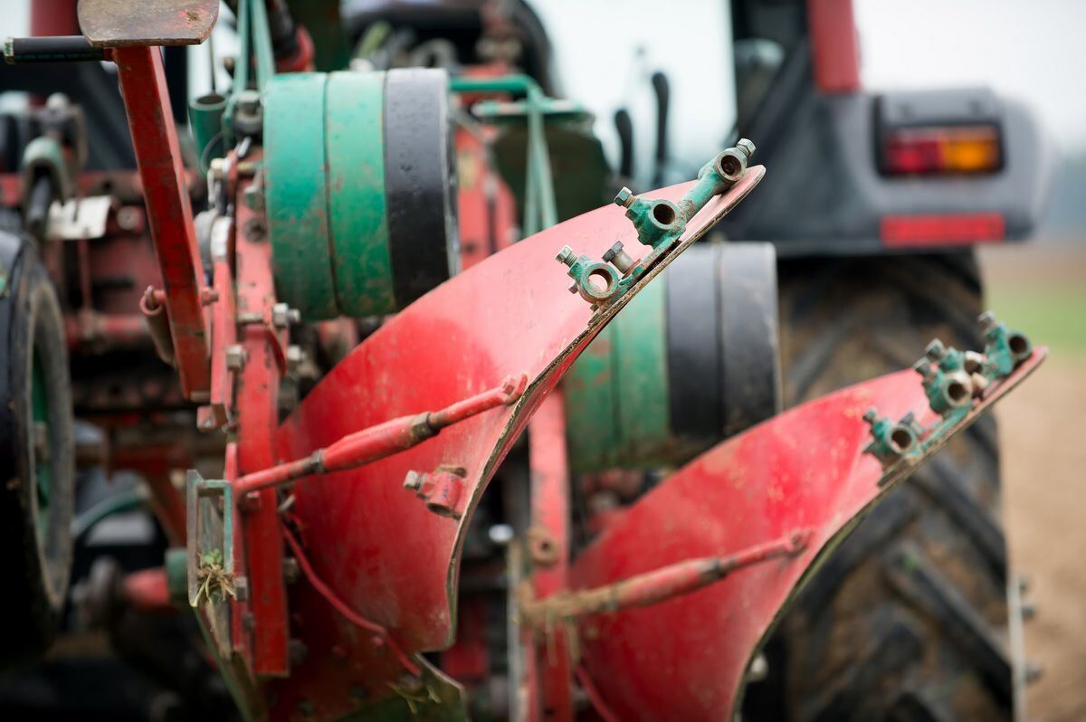 pflügerwm_sa_trinkhaus_02-09-2018_14
