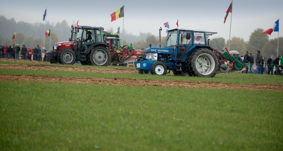 pflügerwm_sa_trinkhaus_02-09-2018_17