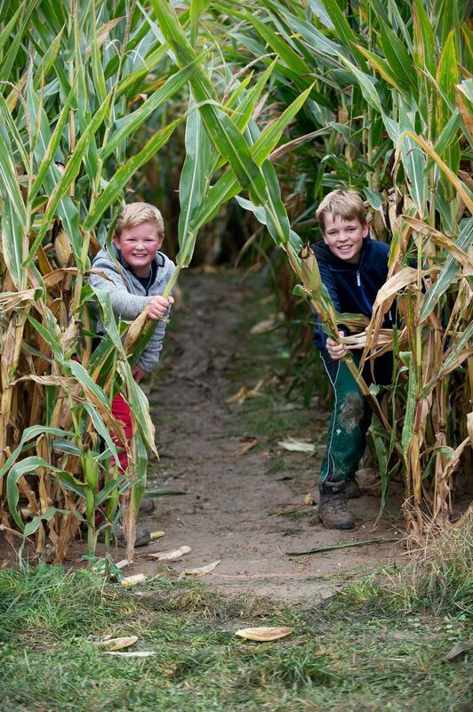pflügerwm_sa_trinkhaus_02-09-2018_24