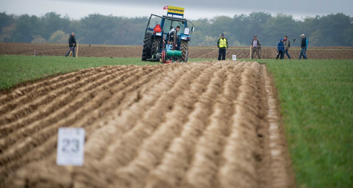 pflügerwm_sa_trinkhaus_02-09-2018_25