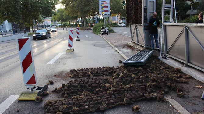Die Pflanzwände in der Lederstraße wurden abgebaut, weil sie nicht die erhoffte Wirkung hatten.   FOTO: SPIESS