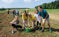 Rein mit den Kartoffeln. Beim Lesewettbewerb auf dem Acker hatte das Team »gelb« – Linda, Tabea, Sina, Pia und Tim – einen Mords