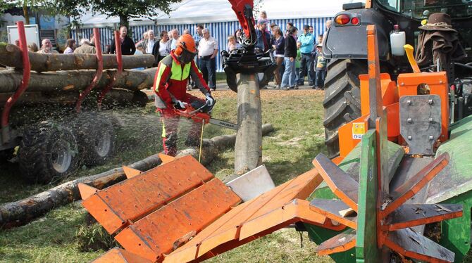 Vorführungen und Infos rund ums Thema Holz gibt’s am ersten Fest-Sonntag bei der Wilsinger Sichelhenke. FOTO: PRIVAT