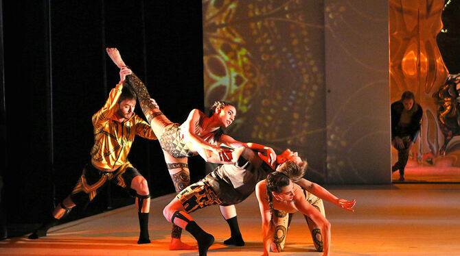 Das Balletttheater Pforzheim beim Tanz. Im Programm des Veranstaltungsrings gastiert es auch in Metzingen.  FOTO: PR