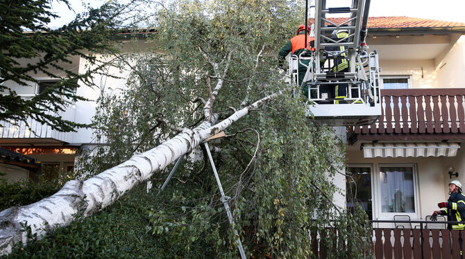 Feuerwehrmänner zersägen einen Baum, der durch den Sturm in Riedlingen auf ein Haus gestürzt ist.