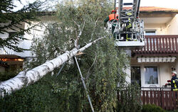 Feuerwehrmänner zersägen einen Baum, der durch den Sturm in Riedlingen auf ein Haus gestürzt ist.