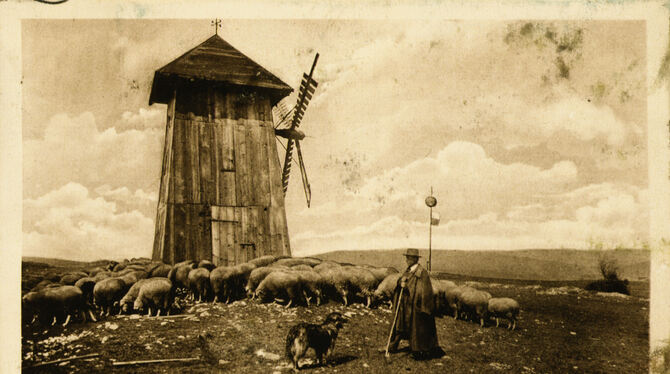 Nicht erst seit heute ein Postkartenmotiv: Schäfer im Münsinger Hardt, hier am Sternenberg-Turm.  FOTO: STADTARCHIV
