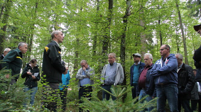 Da sieht man vor lauter Bäumen den Gemeinderat kaum: Bei ihrem Waldumgang hörten St. Johanns Kommunalpolitiker von den Forstleut