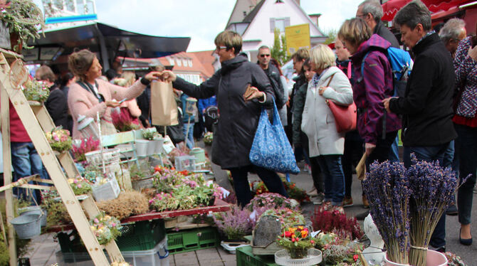 Der Biosphärenmarkt in Münsingen ist einer der großen in der Region. Viele tausend Besucher drängten sich am Feiertag durch die