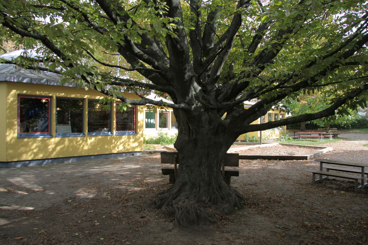 Die Zukunft der Mössinger Kindertageseinrichtung »Hinter Höfen