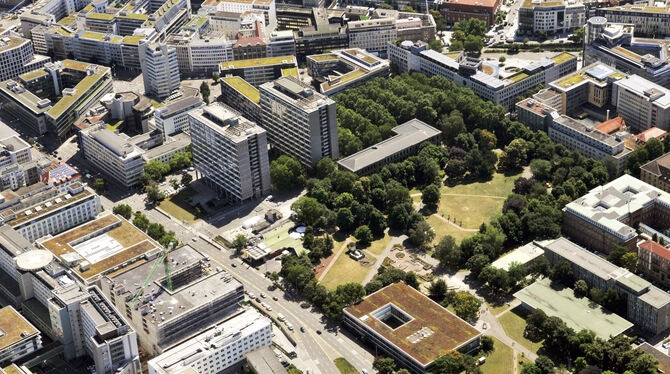 Vogelperspektive: Blick auf den Stadtgarten zwischen Kriegsberg- und Schellingstraße. Er ist zugleich Campus der Universität Stu