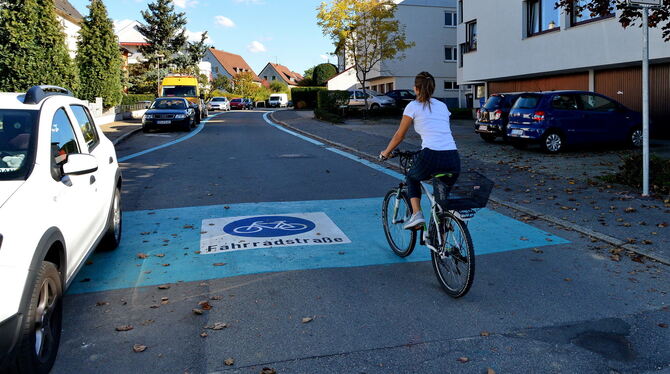 Freie Fahrt für Radler: Die Moltkestraße ist inzwischen Radstraße. FOTO: NIETHAMMER