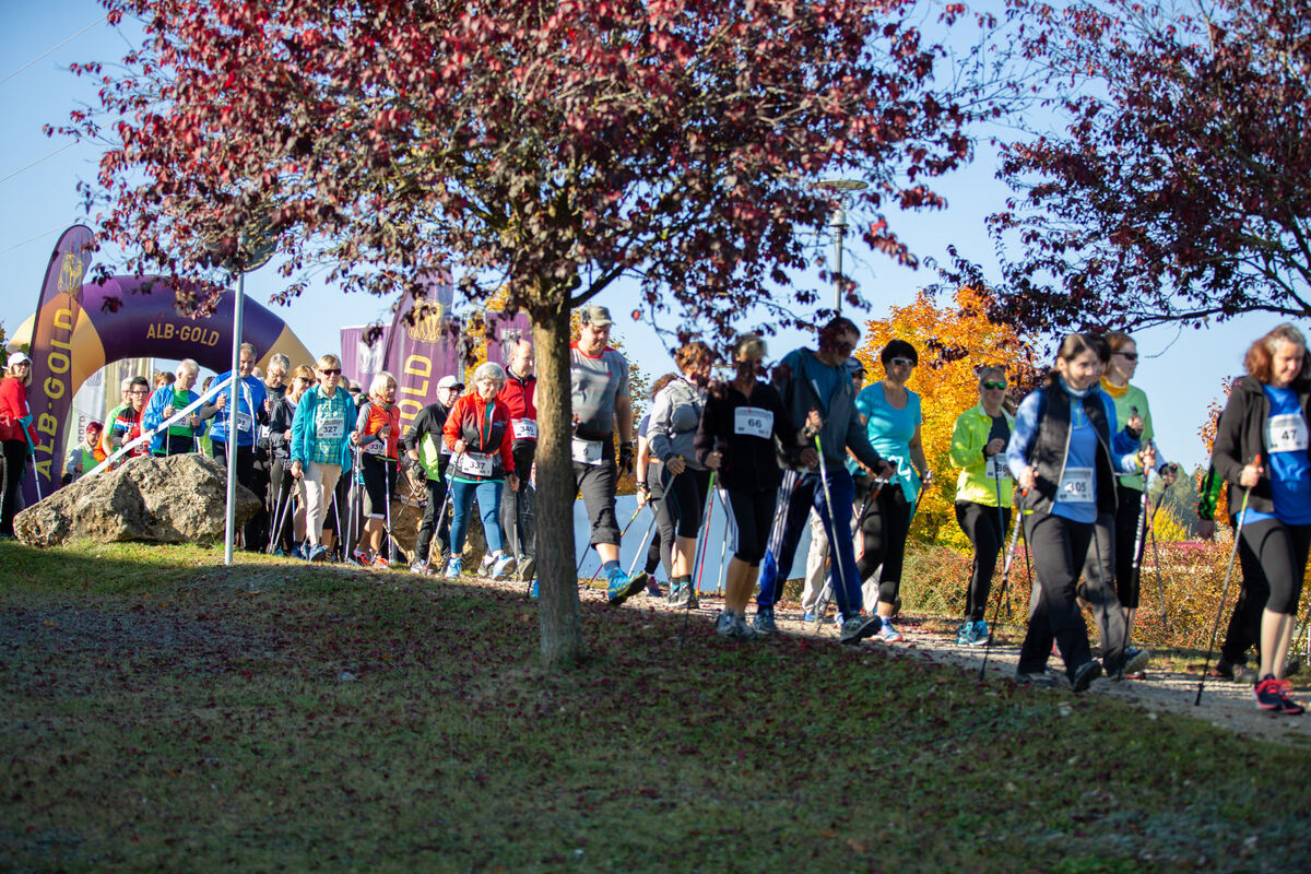 stoecklescup_2018_leuschke_13