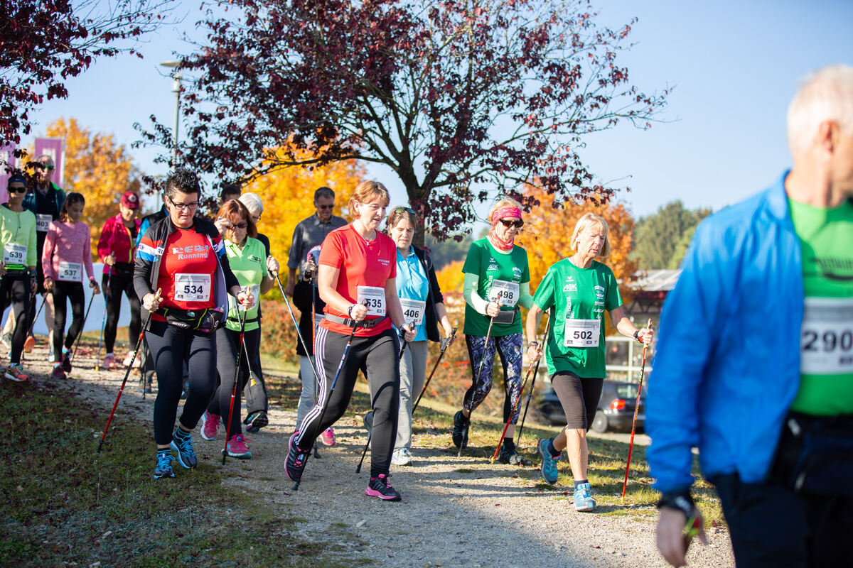 stoecklescup_2018_leuschke_14