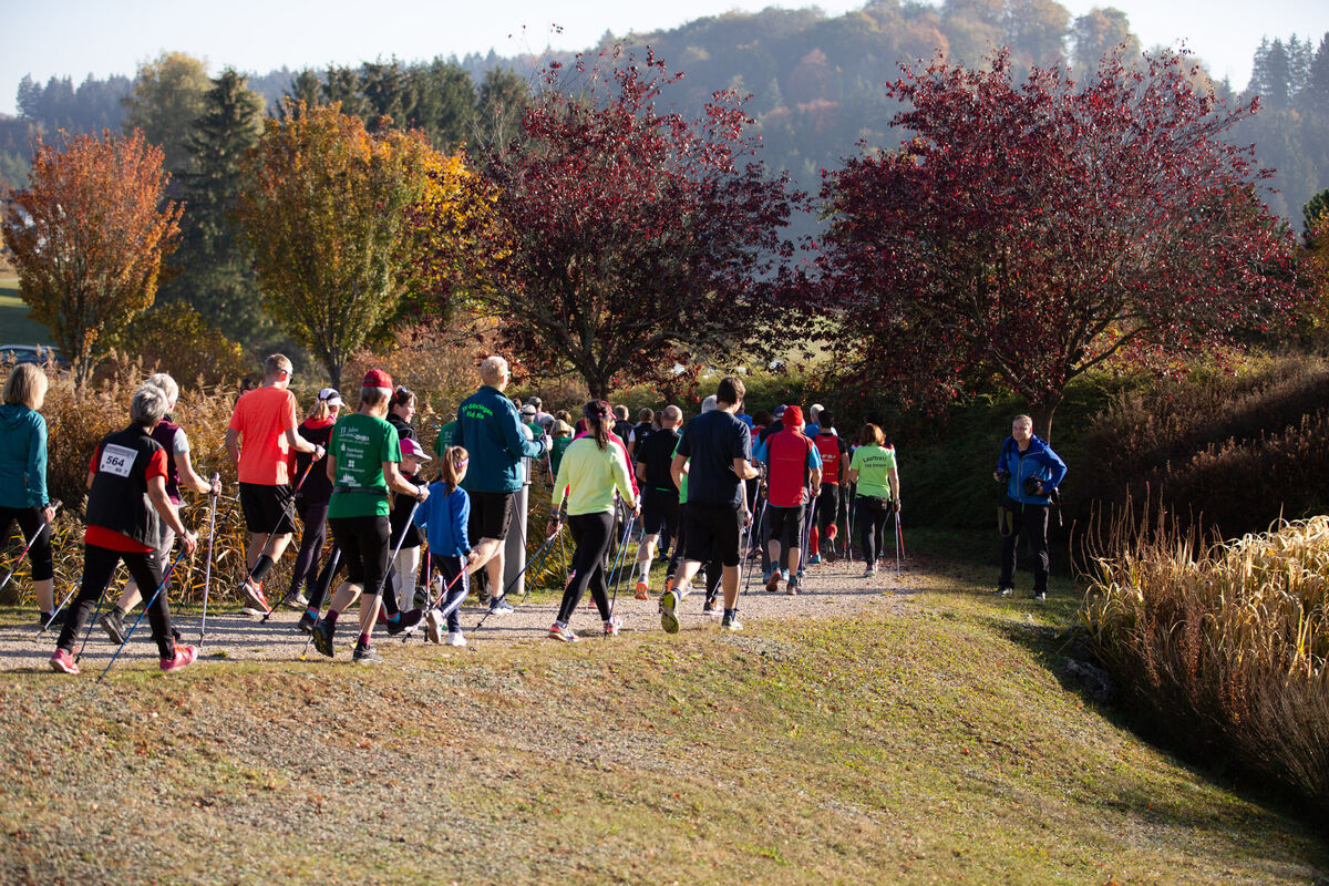 stoecklescup_2018_leuschke_16