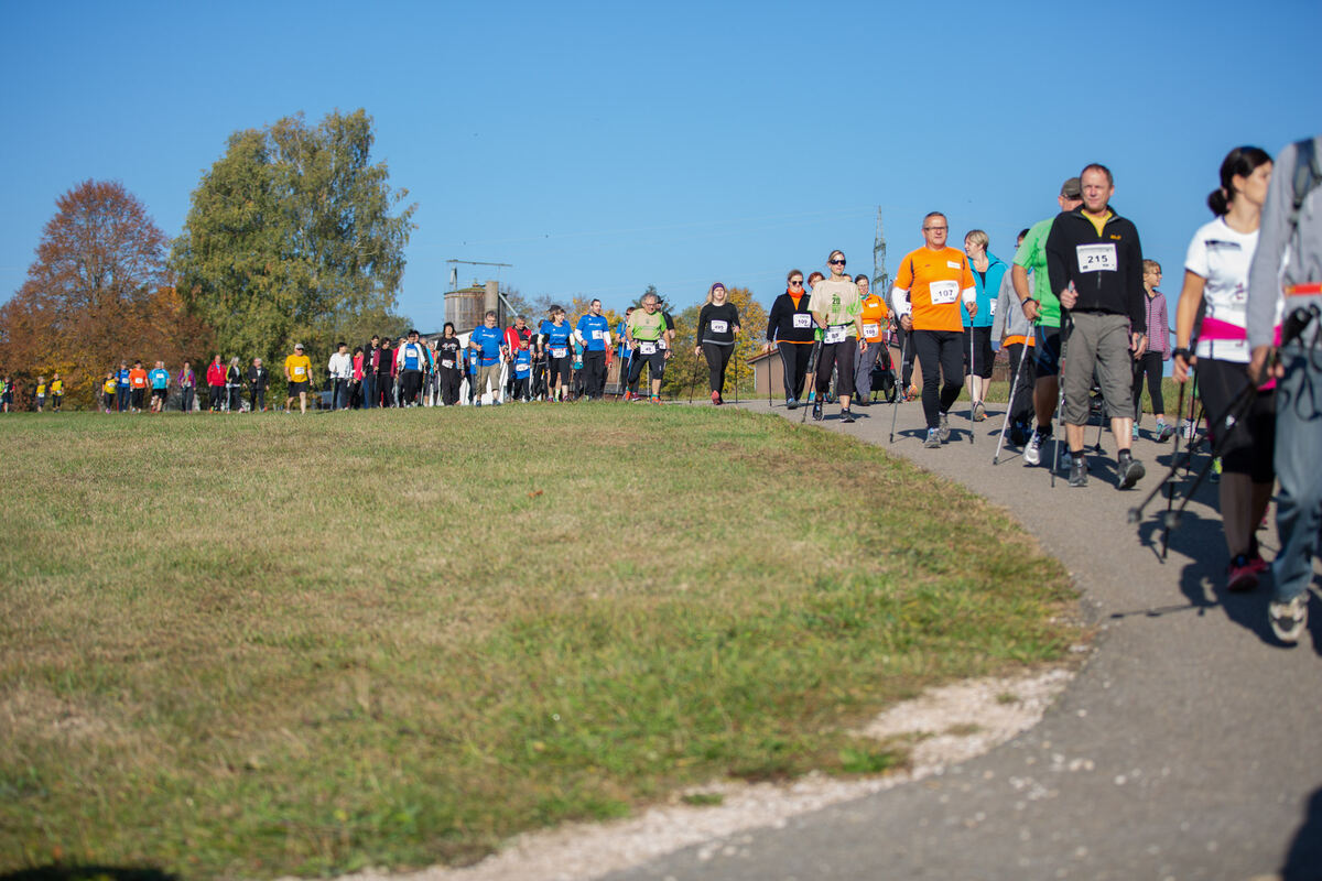 stoecklescup_2018_leuschke_21