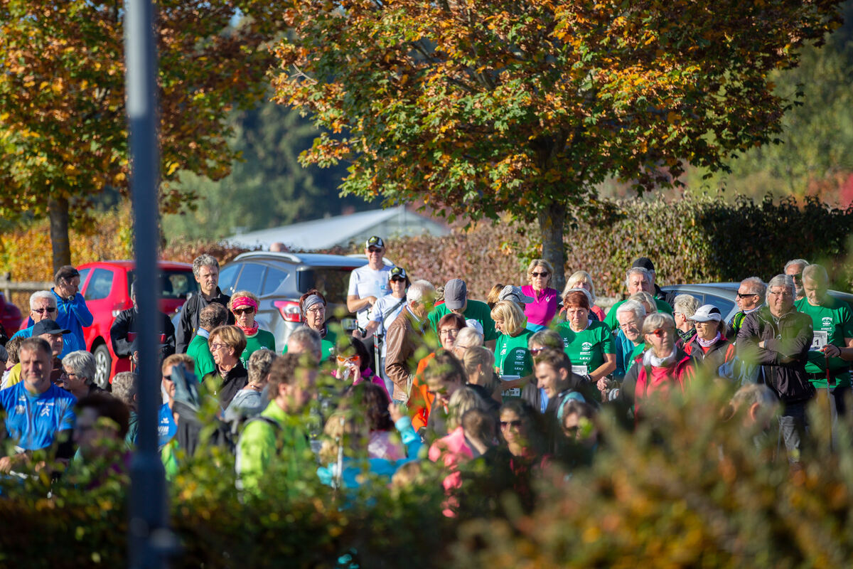 stoecklescup_2018_leuschke_23