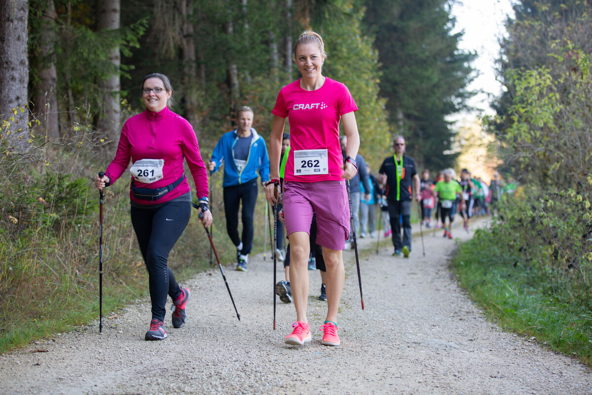 stoecklescup_2018_leuschke_28