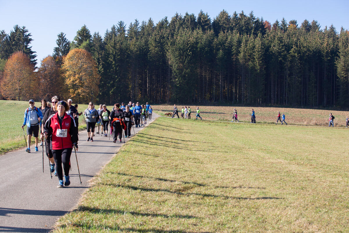 stoecklescup_2018_leuschke_29