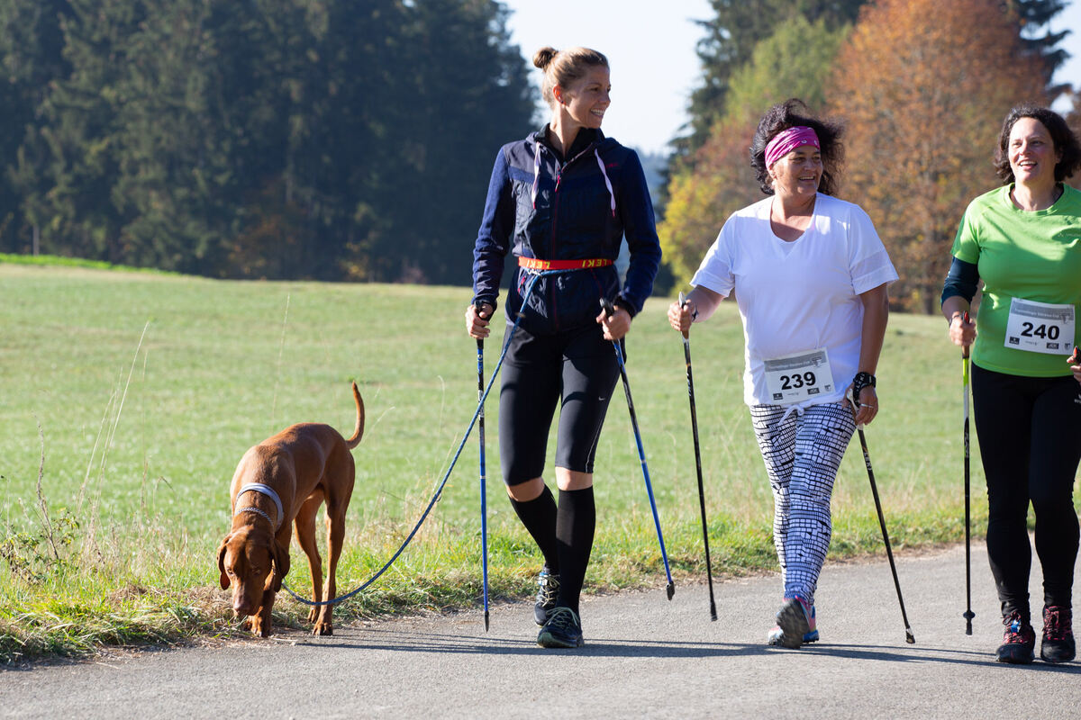 stoecklescup_2018_leuschke_31