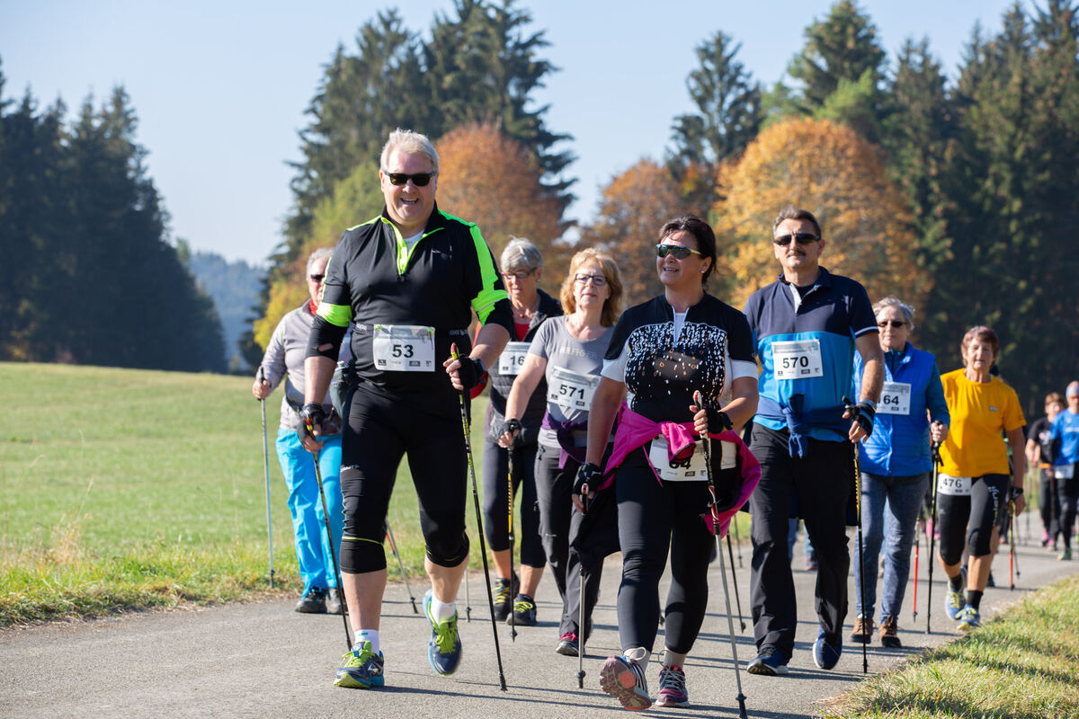 stoecklescup_2018_leuschke_33