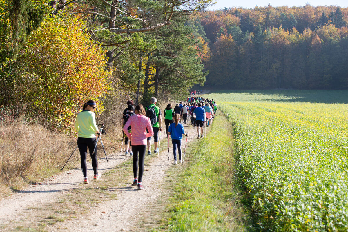 stoecklescup_2018_leuschke_36