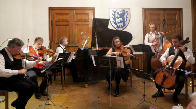 Die tiefen Streicher des Merlin-Ensembles beim Schlosskonzert.  FOTO: GÖGGEL