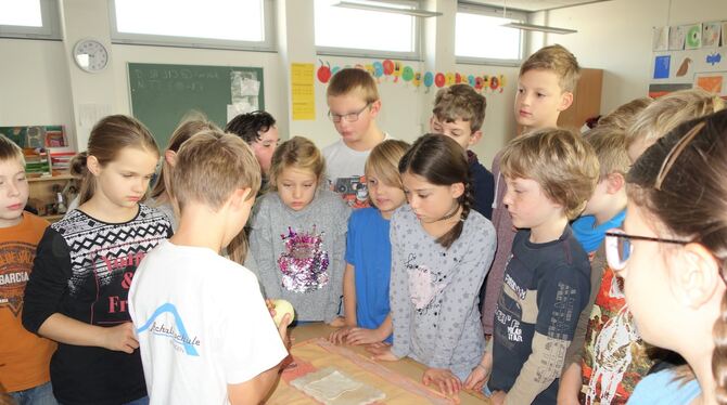 Apfeltag an der Achalmschule Eningen: Die Schüler der vierten Klassen blieben in der Schule und backten leckere Apfeltaschen.  F